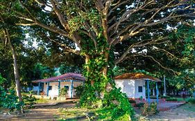 Finca Del Rio Palomino